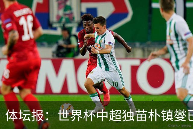 体坛报：世界杯中超独苗朴镇燮已回浙江队，增强球队中后场硬度